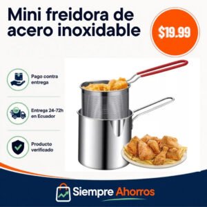 Mini freidora de acero inoxidable