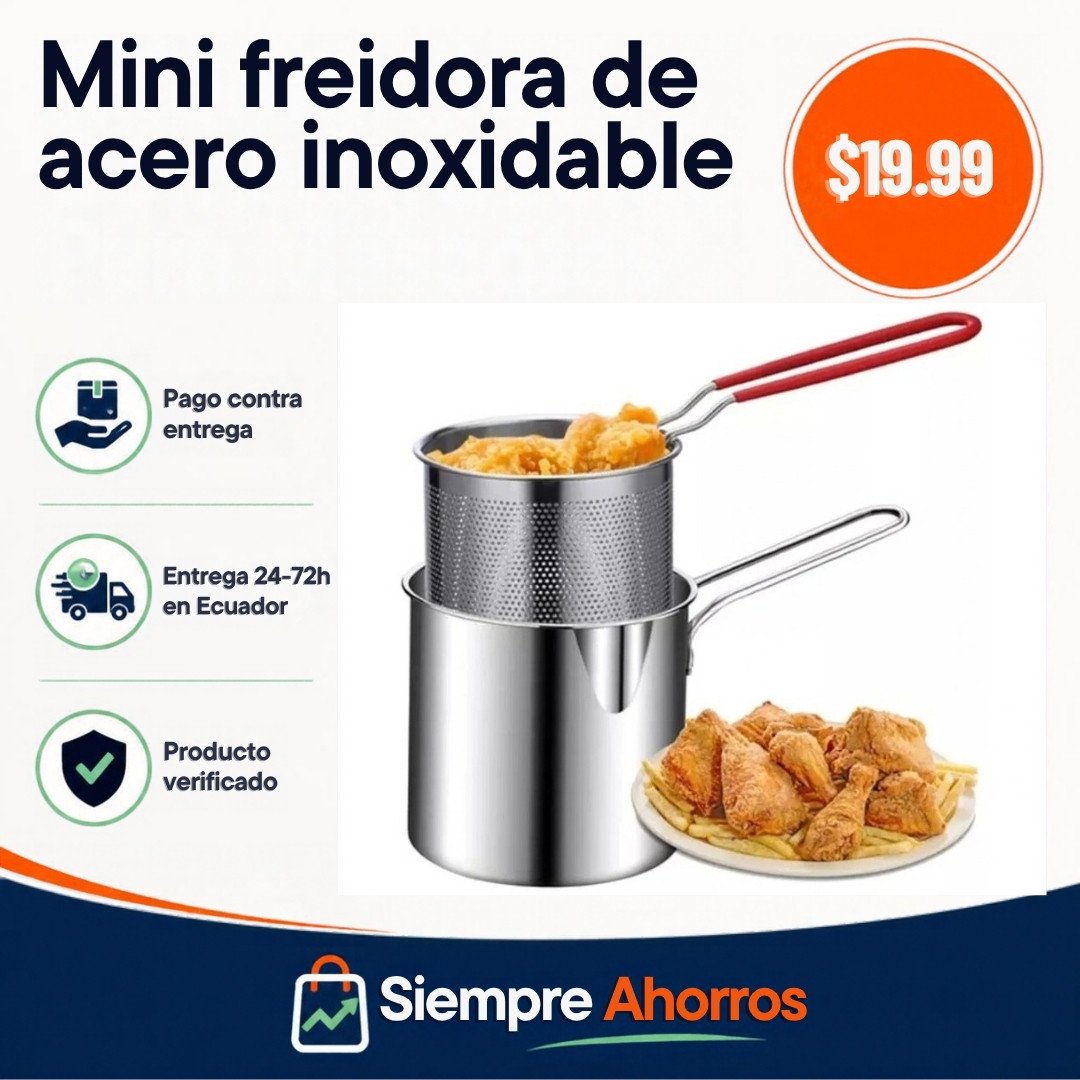 Mini freidora de acero inoxidable